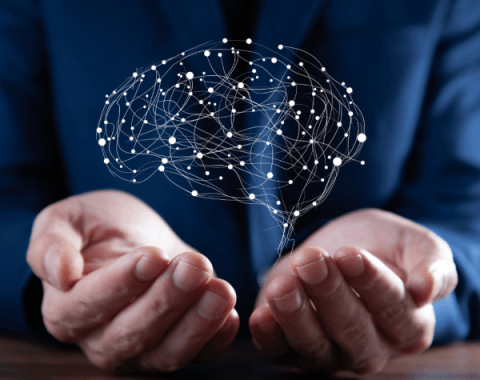 Il Sistema Nervoso, dall'Embriologia alla Fisiologia indagine e strumenti di analisi del Sistema Nervoso Autonomo applicativo all'atto terapeutico
