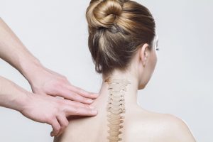 Open day osteopatia a Venezia: scopri il corso e le opportunità professionali