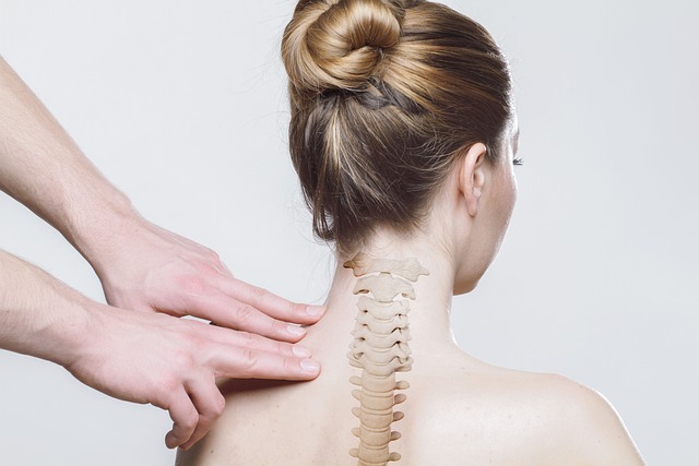Open day osteopatia a Venezia: scopri il corso e le opportunità professionali
